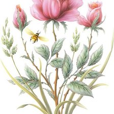 Cross stitch pattern: #163099