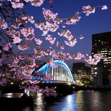 Cross stitch pattern: #163351