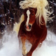Cross stitch pattern: #163637