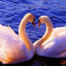 Cross stitch pattern: #163646