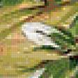 Preview of cross stitch pattern: #164397
