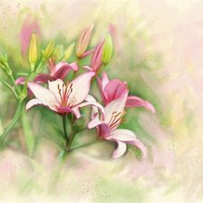 Cross stitch pattern: #164626