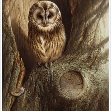 Cross stitch pattern: #165395