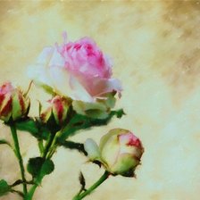 Cross stitch pattern: #166911
