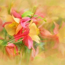 Cross stitch pattern: #166916