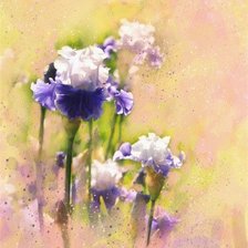 Cross stitch pattern: #166919