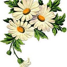 Cross stitch pattern: #167145