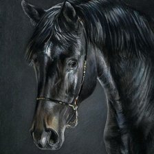 Cross stitch pattern: #167177