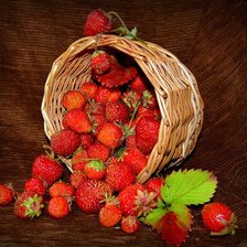 Cross stitch pattern: #167362