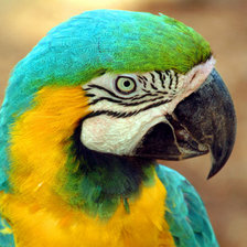 Cross stitch pattern: #168641