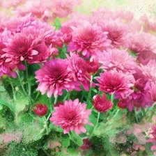 Cross stitch pattern: #168721
