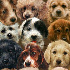 Cross stitch pattern: #169273