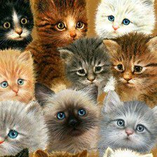 Cross stitch pattern: #169274