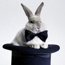 Cross stitch pattern: #169830