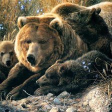 Cross stitch pattern: #169911