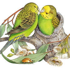 Cross stitch pattern: #169916
