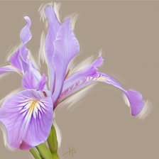 Cross stitch pattern: #170200