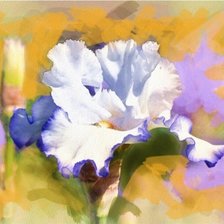 Cross stitch pattern: #170205