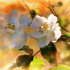 Cross stitch pattern: #170208