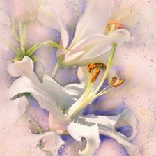 Cross stitch pattern: #170794