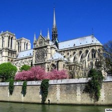 Cross stitch pattern: #170978