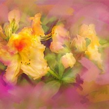 Cross stitch pattern: #172744