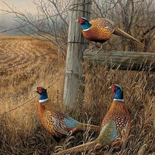 Cross stitch pattern: #173201