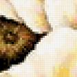 Preview of cross stitch pattern: #173710