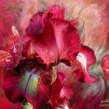 Cross stitch pattern: #174736