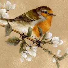 Cross stitch pattern: #174832