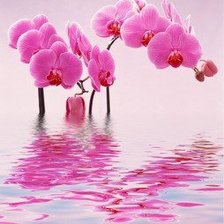 Cross stitch pattern: #176248