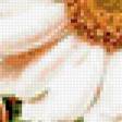 Preview of cross stitch pattern: #177284