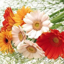 Cross stitch pattern: #177284