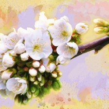 Cross stitch pattern: #178125