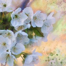 Cross stitch pattern: #178128