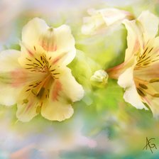 Cross stitch pattern: #178142