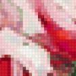 Preview of cross stitch pattern: #178903