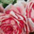 Preview of cross stitch pattern: #178922