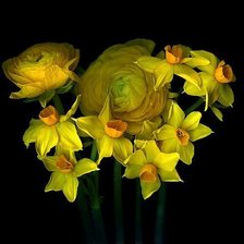 Cross stitch pattern: #179563