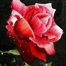 Cross stitch pattern: #179569