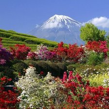 Cross stitch pattern: #180255