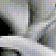 Preview of cross stitch pattern: #181666