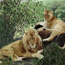 Cross stitch pattern: #182095