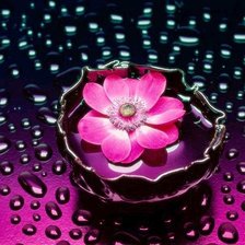 Cross stitch pattern: #182799