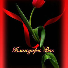 Cross stitch pattern: #182830