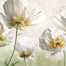 Cross stitch pattern: #183100