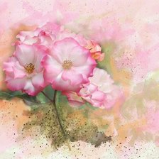 Cross stitch pattern: #183306