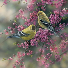 Cross stitch pattern: #184560