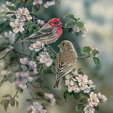 Cross stitch pattern: #184561