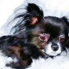 Cross stitch pattern: #184646